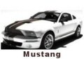 salvage mustang